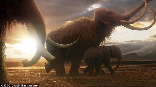 猛犸是大象的近亲物种，它们生活在4千年前，科学家能够从冰冻尸体中提取保存完好的DNA样本