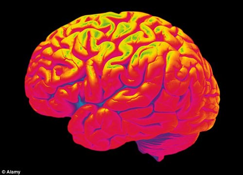 神经营销学快速发展，研究人员使用脑机互联扫描数据测量人们的关注度和情绪响应 
