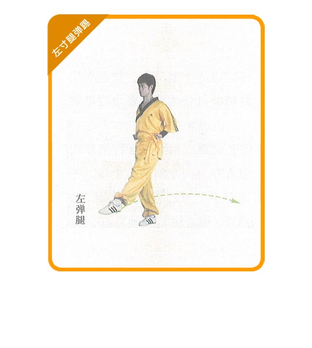 趣味武术 二级 基本技术 寸腿弹踢