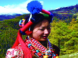 藏族与傈僳族社交习俗